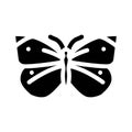 cabbage white summer glyph icon vector illustration