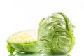 Cabbage young green Royalty Free Stock Photo