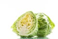 Cabbage young green Royalty Free Stock Photo