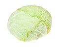Cabbagehead of fresh savoy cabbage isolated Royalty Free Stock Photo