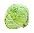 Cabbagehead of green savoy cabbage cutout on white