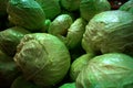 Cabbages