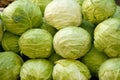 Cabbages