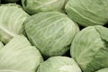 Cabbages