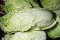 Cabbages display on sale in the traditional market. Royalty Free Stock Photo