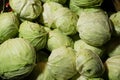 Cabbages display on sale in the traditional market. Vegetables markets. Cabbage background. Royalty Free Stock Photo