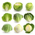 Cabbages isolated on white background