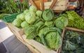 Cabbages and the lettuces in the wooden boxes in the market for sale