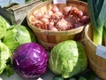 Cabbages and shallots Royalty Free Stock Photo