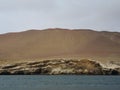 Cabdelabro in Ballestas Island.