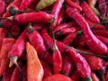 Cabe lombok Capsicum Chili peppers Royalty Free Stock Photo