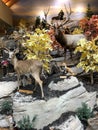 Cabela`s Sporting Goods Store in Greenville, SC