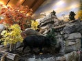 Cabela`s Sporting Goods Store in Greenville, SC