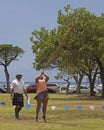 Caber Toss