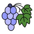 Cabernet grape icon color outline vector