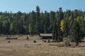 Cabin in a meadow, White Mountains of Arizona Royalty Free Stock Photo