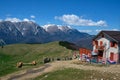 Cabin in Baiului Mountains