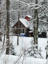 Maple Shack Cabin, Winter, Sugar Shack, Process, Production, Woods, Countryside, Snow, Canada, North America, Forest, Cultural
