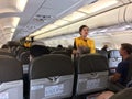 Cabin crew in the airplaine