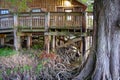 Cabin and Cypress Knees at Lake Fausse Pointe State Park, Louisiana Royalty Free Stock Photo