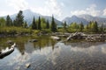 Cabin and driftwood at Cottonwood Creek, Jackson Hole, Wyoming.