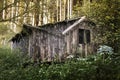 Cabin in the forest Royalty Free Stock Photo
