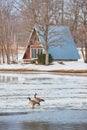 Cabin on frozen lake with pair of geese