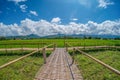 Cabin on green rice field