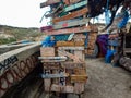 Cabin made of driftwood on the coast of Denmark