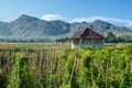 A cabin in the middle of a farm with beautiful mountain views Royalty Free Stock Photo