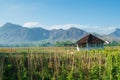A cabin in the middle of the farm with beautiful mountain views Royalty Free Stock Photo
