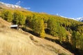 Cabin in a mountain meadow Royalty Free Stock Photo