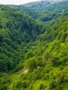 Cabin in mountains, green forests