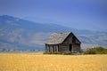 Cabin Old Homestead on Farmground Field of Grain Royalty Free Stock Photo