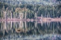 Shawnigan Lake reflections on Vancouver Island Canada