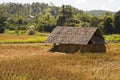 Cabin in rice fields farm