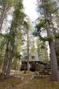 Cabin in scenic forest