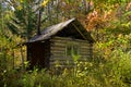 Cabin in taiga 1