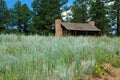 Cabin in Wilderness