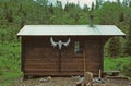 Cabin in the Wilderness