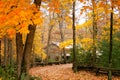 Cabin in the woods with autumn Royalty Free Stock Photo