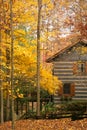 Cabin in the woods with autumn Royalty Free Stock Photo