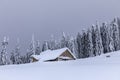 Cabin in the woods, a house covered in snow Royalty Free Stock Photo