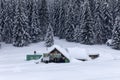 Cabin in the woods, a house covered in snow