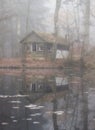 Abandoned shack next to a lake in German forest Royalty Free Stock Photo