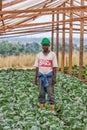 CABINDA/ANGOLA - 09JUN2010 - Portrait of a farmer in a greenhouse in the middle of a cabbage plantation.