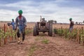 CABINDA/ANGOLA - 09JUN2010 - Team of African farmers walking between planting with tractor. Royalty Free Stock Photo