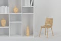 Cabinet with books and vases inside in the empty new house, 3d rendering