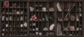 A Cabinet of Curiosities Royalty Free Stock Photo