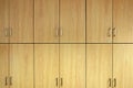 Cabinet wooden doors. Business headquarters. Wooden background